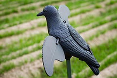 MOJO Outdoors Crow Decoy in motion showing crow fighting action to attract others.