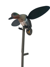 MOJO Outdoors Green Wing decoy full-body realism for lifelike waterfowl attraction