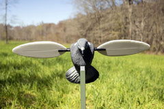 MOJO Outdoors pigeon decoy with magnetic wings enables quick field setup