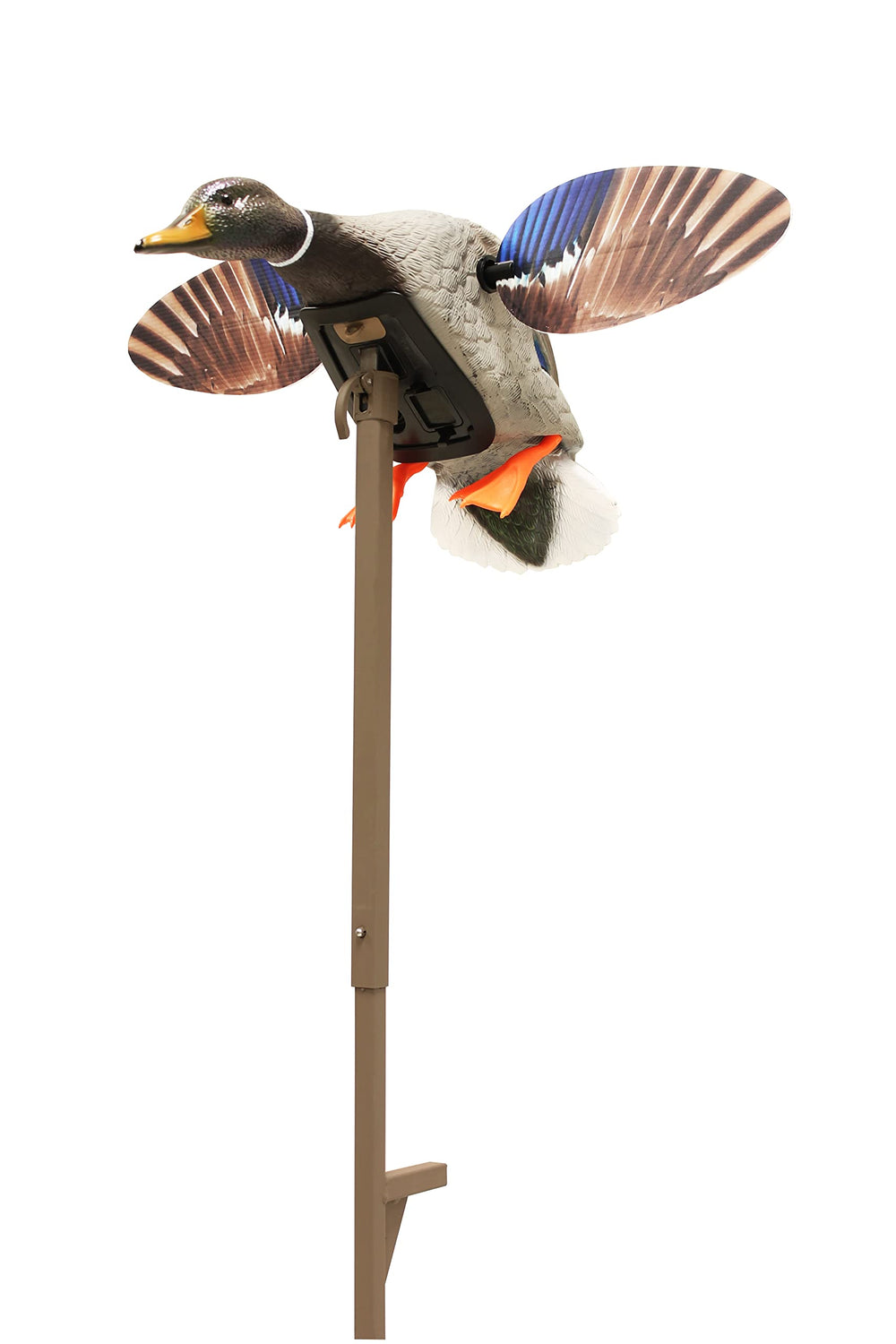 MOJO Outdoors Mini Mallard Drake front view decoy highlights realistic feather detail for attracting ducks