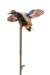 MOJO Outdoors Mini Mallard Drake front view decoy highlights realistic feather detail for attracting ducks