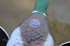 MOJO Outdoors silver mallard decoy detail paint highlights vibrant durable finish for lasting outdoor visibility