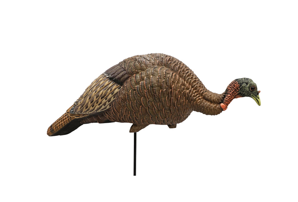 MOJO Outdoors feeder/breeder hen decoy closeup highlights lifelike detail to draw turkeys into range.