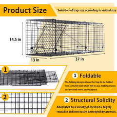 Mondogreet heavy-duty live trap set up and ready for humane capture.