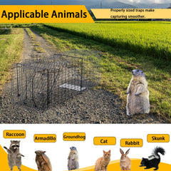 Mondogreet heavy-duty live trap with humane release door for safe release.