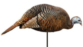 Montana Decoy Dinner Belle Hen decoy in feeding pose attracts wary toms.