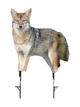 Montana Decoy Song Dog brown close-up reveals lifelike detail for field calls.