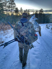 Song Dog brown detail from new printing delivers sharper realism on coyotes.