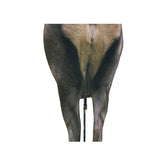 Montana Decoy Back Country Elk decoy folded compact for easy carry.