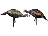 Montana Decoy Purr-Fect Pair XD3 hen decoy for realistic turkey setup