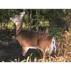 Fits Montana whitetail decoys for quick setup and realistic motion.
