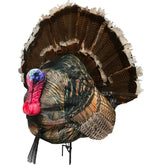 Montana Decoy Wiley Tom 3D turkey decoy in 2D setup for ultralight portability.