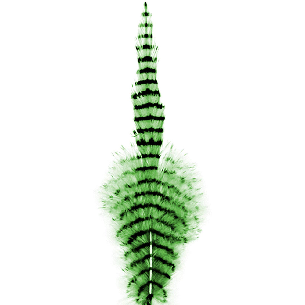 Montana Fly Barred Saddle Hackle feather for versatile fly tying, enhances tails and palmered bodies.