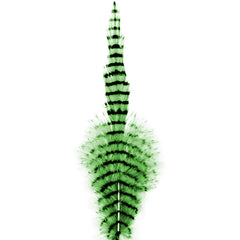 Montana Fly Barred Saddle Hackle feather for versatile fly tying, enhances tails and palmered bodies.