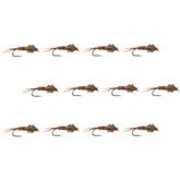 Montana Fly Company Pheasant Tail nymph 12-pack, ideal for trout fishing in streams.