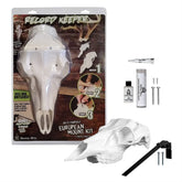 Mountain Mike's Reproductions Elk Record Keeper Kit shows the complete mounting setup for a DIY elk mount.