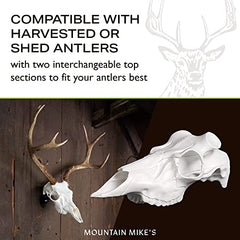 Mountain Mike's Skull Master 3D model replica—accurate deer skull for lifelike display.