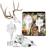 Mountain Mike's Skull Master white base display-ready European mount solution.