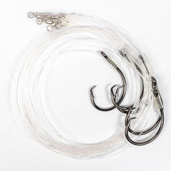 Mustad BlacktipH live bait rig 7-0 circle hook close-up shows secure corner-mouth hookups.