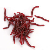 Naroote bloodworm lure 4cm red with lifelike motion for higher catch potential.