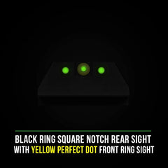 Night Fision Tritium night sights for Taurus steel CNC construction ensures rugged recoil resistance