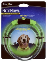Nite Ize green safety dog necklace visible on a dog during evening walks for better visibility.