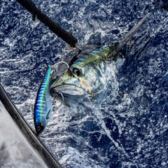 Nomad Design Madmacs heavy-duty-frame closeup emphasizes strength against pelagic predators.