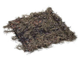 North Mountain Gear universal camo netting draped over a duck blind for natural concealment