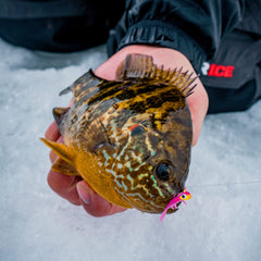 Northland Tackle Mayfly body imitates real forage to spark panfish curiosity