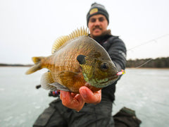Northland Tackle pre-rigged jigs save setup time on the ice.