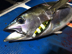 OCEAN CAT color and weight options include red-gold, green-gold, blue-silver, silver, and pink.