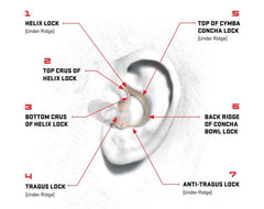 Orange, medium size EP10 earplugs