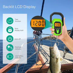 ORIA LCD backlit display on digital scale