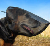 Out Fox Field Guard XL front view, breathable protection for dogs