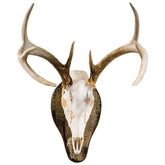 Outdoor Hunting Lab European deer skull mount on 1-inch poplar plaque for dramatic display.