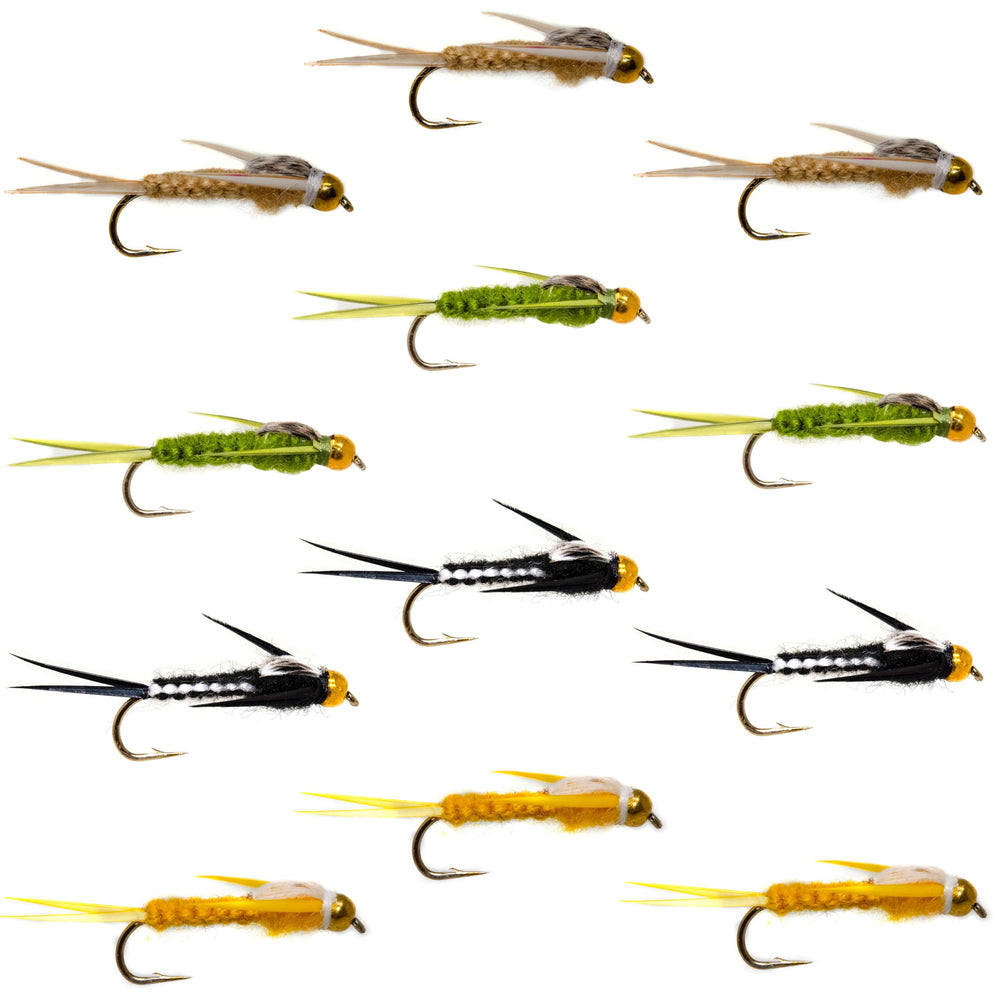 Outdoor Planet 12-beadhead woven stonefly nymphs in a fly box, great for trout