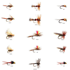 Outdoor Planet 26-essential flies kit: wet flies display for versatile fishing