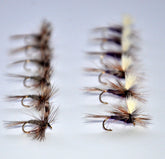 Outdoor Planet Adams dry fly 14, reliable trout pattern for varied streams.
