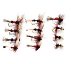 Outdoor Planet Royal Wulff dry fly in a trout stream for prospecting and precise drifts.