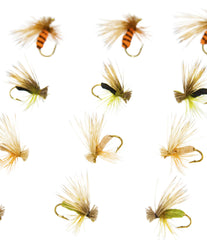 Outdoor Planet Kingrey's foam Caddis dry fly; high-floating surface presentation for trout.