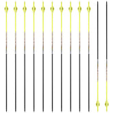 PANDARUS 12-pack carbon arrows for hunting and target practice