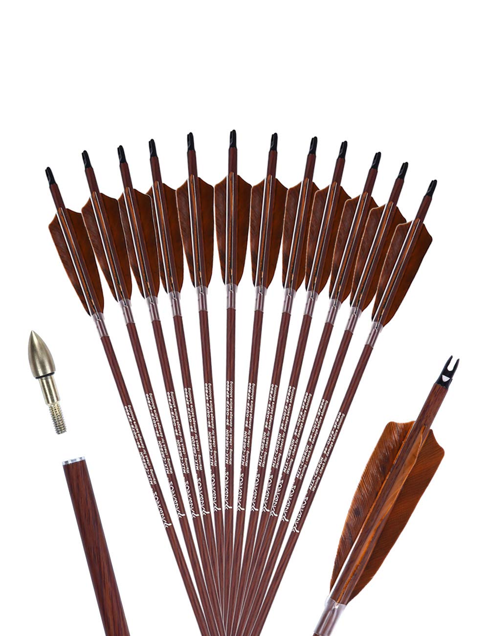 PANDARUS 31-inch carbon arrow shaft for consistent flight
