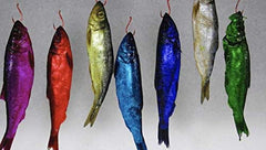 Assorted bait (eggs, herring, anchovies, shad) treated with Fire Brine