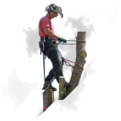 Pelican Rope Arborist-24 static-climbing-rope emphasizes low stretch for fixed-line work