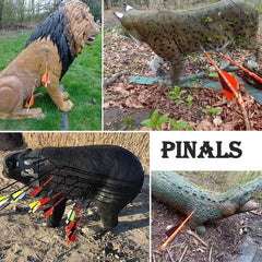Pinals Archery 100-grain points seat securely with inserts for reliable reuse.