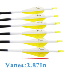 Pinals Archery 3-inch vanes fletching in flight for stability and speed.