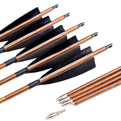 Pinals Archery 30-inch carbon shaft arrow ideal for practice and consistency.