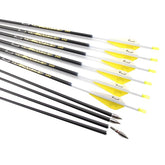 Pinals Archery carbon arrows box with 12-pack for practice and target shooting setups.