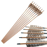 Pinals traditional arrows with carbon shaft for precise practice