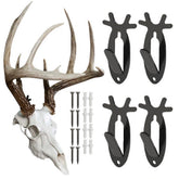 PIT66 European mount skull hanger for deer provides secure display